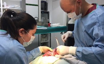 Centro Veterinario de Marín