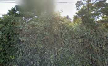 Laboratorio de Sanidad Animal