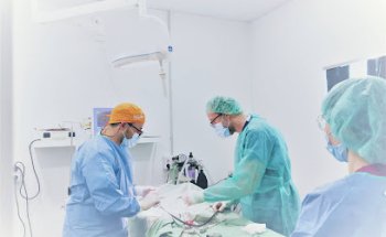 Clinica Veterinaria Fociños Bueu Morrazo.