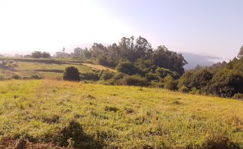 Clínica Veterinaria Campo Lameiro