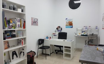 Veterinario Tejina Centro Perenquén.