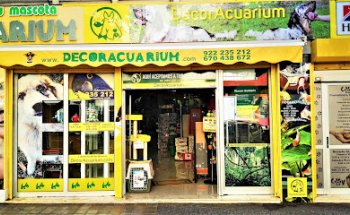 Decoracuarium