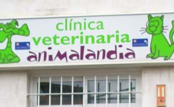 Veterinary Clinic Animalandia