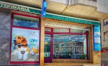 Clinica Veterinaria Noja