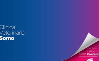Clínica Veterinaria Somo (Urgencias 722614410)