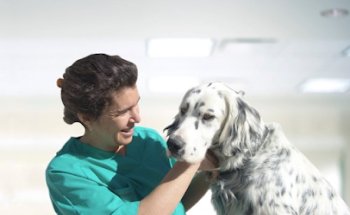 CENTRO VETERINARIO ANA MARTIN