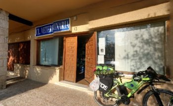 Clínica veterinaria 