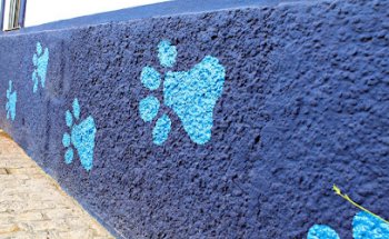 CENTRO VETERINARIO VALENCINA