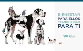 Clínica Veterinaria Wecan Montequinto