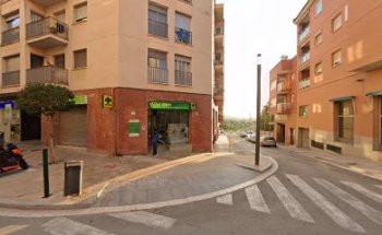 Veterinari Constantí