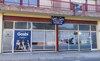 Gat i Gos Veterinari -Raquel Huguet-