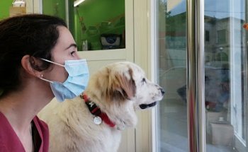 CV Les Borges clínica veterinària