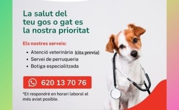 CLINVET Clínica Veterinaria