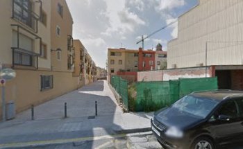 Iris Segura - Veterinaria Equina