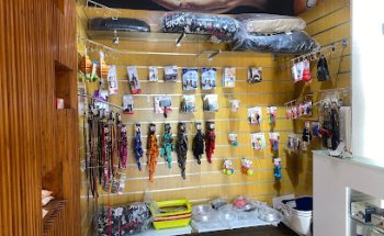 Clinica Veterinaria CityVet