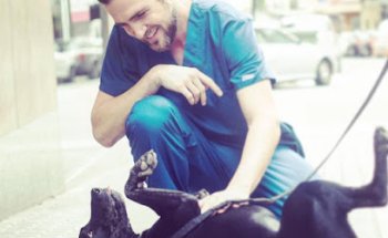 SOT veterinaria. Servicio de Traumatología y Ortopedia