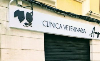 Centro Veterinario Aragón (Valencia)