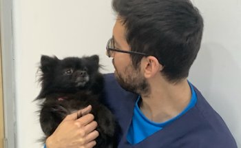 Clinica Veterinaria Llevant