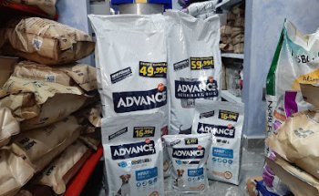 Clínica Veterinaria ROCAFORT