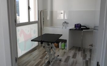 Clínica veterinaria Roig