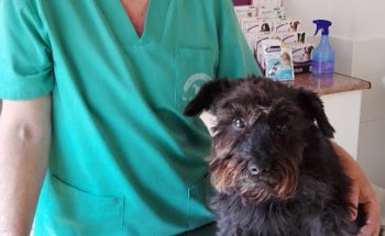 Clínica Veterinaria 