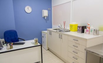 Veterinaris Las Américas (Urgencias 24h 617324983)