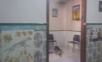 Clínica Veterinaria San Antonio