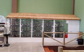 Colita | Tienda de animales