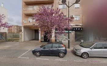 Centro Clínico Veterinario San Antonio