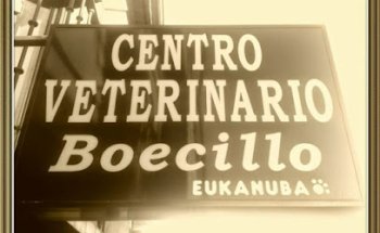 Centro Veterinario Boecillo