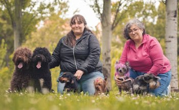 El Rincón de Marepopito