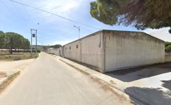 veterinario en valladolid