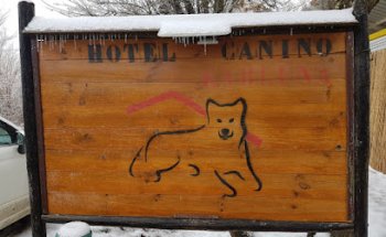 Hotel Canino y Felino Kabluna
