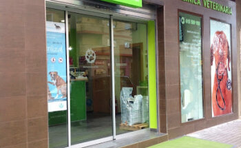 San Francisco de Asis