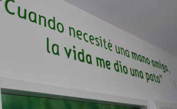 Clinica Veterinaria Sanantón