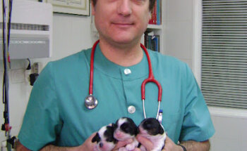 Clínica Veterinaria Alierta