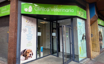 Clínica Veterinaria Sada - Veterinario en Torrero - Zaragoza