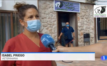 Equipo Veterinario Isabel Priego