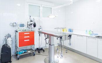 Centro veterinario ANAA