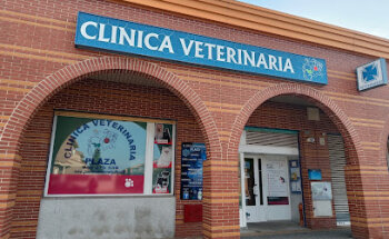 Clinica Veterinaria Plaza