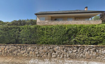 Consulta Veterinaria - Araceli Fernández