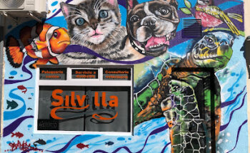 SILVILLA MASCOTAS PERALES