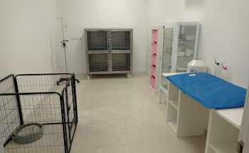 Centro Veterinario Huellitas