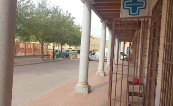 Cedillo Veterinary Center