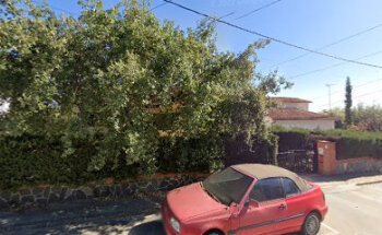 Veterinario de Caballos