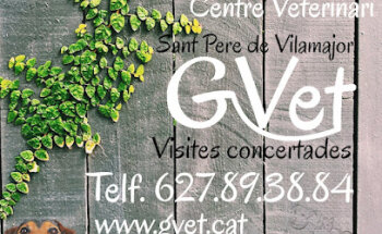 GVet - Centre Veterinari