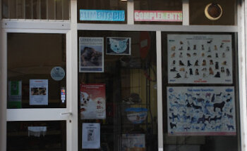 Centro Veterinario Sant Feliú