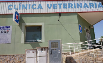 Clínica Veterinaria San Antón Ciudad Quesada