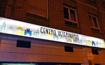 Centro Veterinario San Mateo - Veterinarios en Oviedo