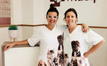 Centro Veterinario Masip